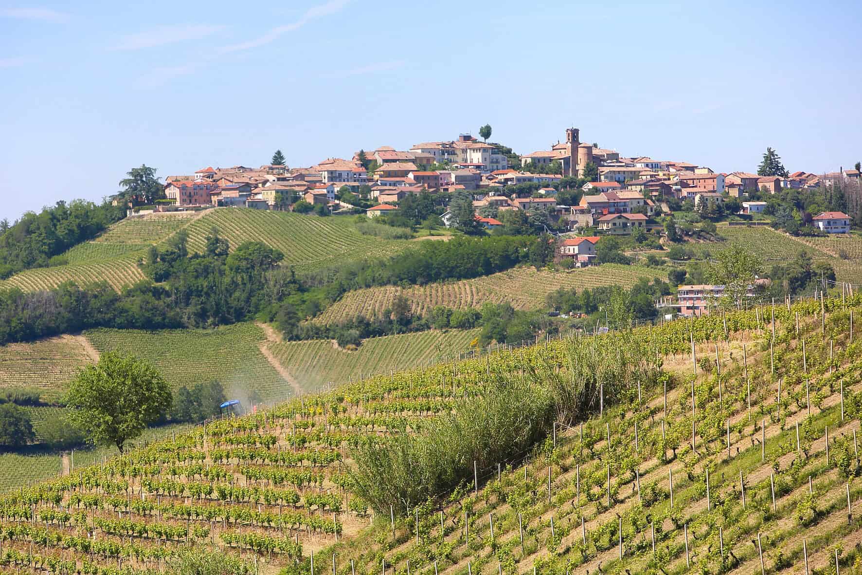 img-vinifera-preli-weingut